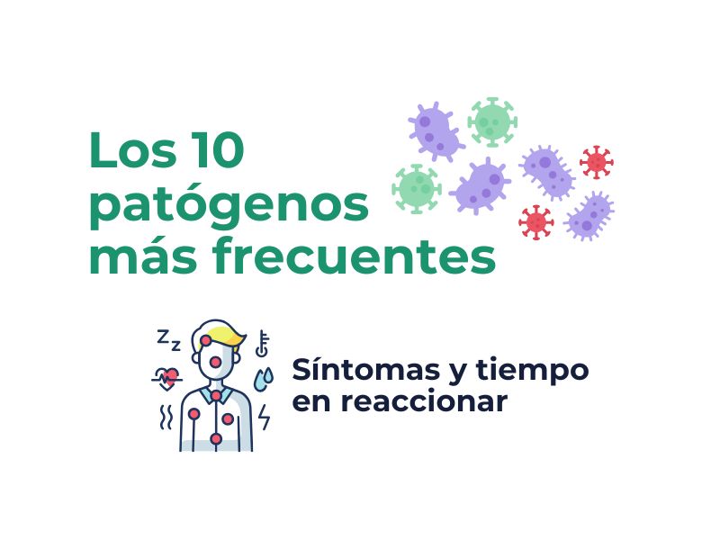 Intoxicación Alimentaria: los 10 Patógenos más frecuentes y sus síntomas&nbsp;🦠